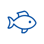 elpeje.pe favicon